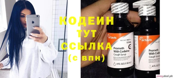 прущая мука Корсаков