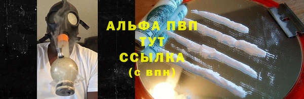 прущая мука Корсаков
