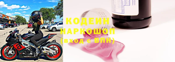 прущая мука Корсаков