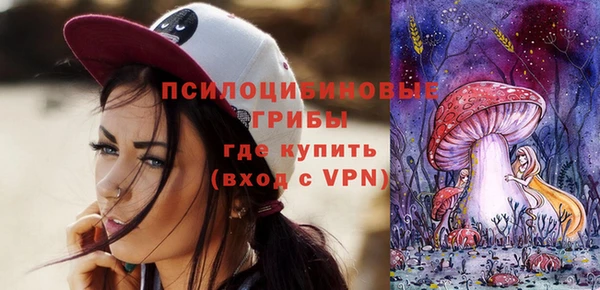 прущая мука Корсаков
